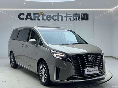 2023 Buick GL8 ES Landmaster Exclusive, фото 2, лот 10249816