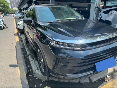 2019 Exeed Windchaser 1.6T DCT Star Wisdom Edition, фото 3, лот 11152096