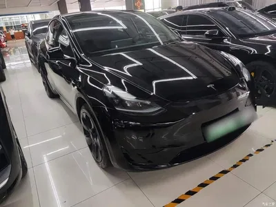 2022 Tesla Model Y Rear-Wheel Drive Version, фото 4, лот 10375020