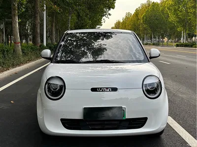 2025 Changan Qiyuan Changan Lumin 205km Fragrant Infusion Edition, фото 2, лот 10404151