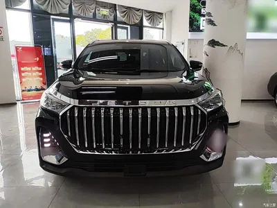 2023 Jetour X90 Zilong 2.0T DCT Ever-victorious Edition 7-seater, фото 3, лот 11300657