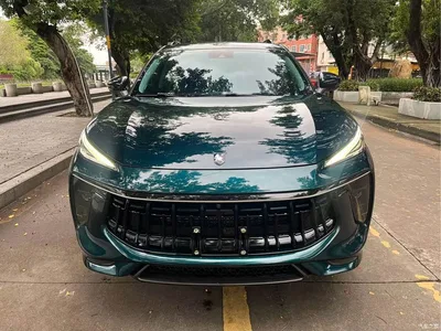2021 Dongfeng Fengxing T5 EVO 1.5TD DCT Diamond Edition, фото 2, лот 11190865
