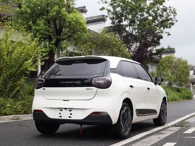 2024 Dongfeng Yipai Nano 01 330 Plus Smart+, фото 4, лот 10835154