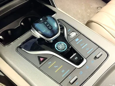 2024 BYD Tang New Energy DM-p Glory Edition 215KM AWD Premium, фото 4, лот 10384439