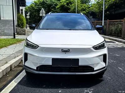 2020 Geely C Model Premium Range Edition 550KM C++, фото 4, лот 11157008