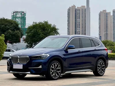 2020 BMW X1 xDrive25Li Premium Edition, фото 1, лот 10466577