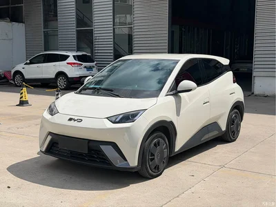 2024 BYD Seagull Glory Edition 305km Vitality Edition, фото 1, лот 10256830