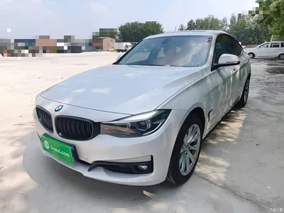 2019 BMW 3 Series GT 320i Fashion Model, фото 1, лот 10473639