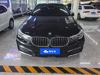 2018 BMW 7 Series 730Li Leading Type Excellence Package, фото 2, лот 10458770