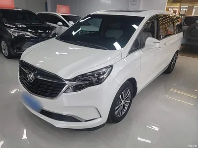2021 Buick GL8 ES Landlord 653T Comfort, фото 1, лот 10262092