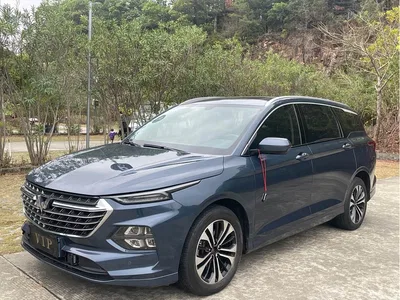 2020 Wuling Motors Wuling Victory 1.5T CVT Flagship, фото 1, лот 10832132