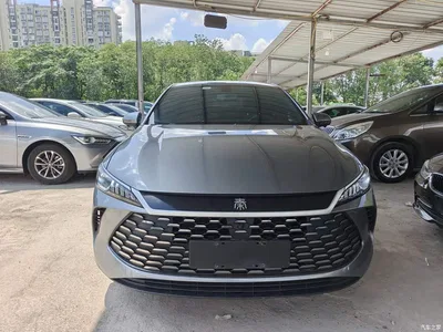 2025 BYD Qin PLUS DM-i Smart Drive 55KM Leader, фото 3, лот 10362719