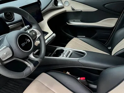 2023 BYD Dolphin 420km Freedom Edition, фото 4, лот 11283975