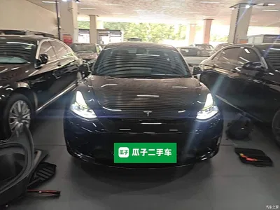 2021 Tesla Model 3 Standard Range Rear-Wheel Drive Upgrade 3D6, фото 3, лот 10375023
