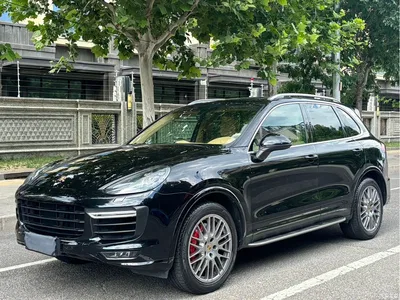 2015 Porsche Cayenne Turbo 4.8T, фото 3, лот 10419477