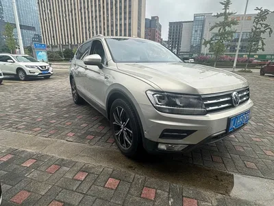 2019 Volkswagen Tiguan L Facelift 330TSI Auto 2WD Smart Luxury China VI, фото 3, лот 11199029