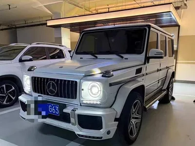 2016 Mercedes-Benz G-Class G 500, фото 1, лот 10254893