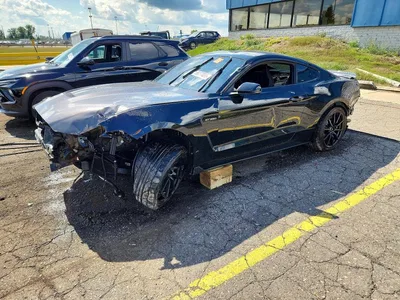 2017 FORD MUSTANG SHELBY GT350, фото 1, лот 10529471