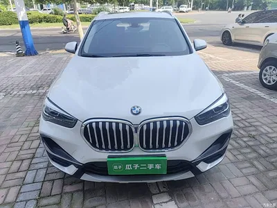 2020 BMW X1 sDrive20Li Premium Edition, фото 3, лот 10467999