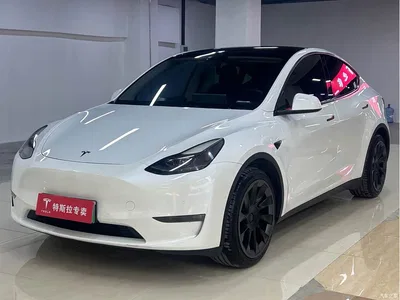2021 Tesla Model Y Model Long Range AWD, фото 1, лот 10616685