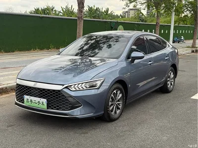 2024 BYD Qin PLUS Glory Edition DM-i 55KM Leading, фото 1, лот 10363528