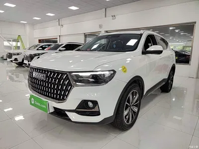 2023 Haval H6 National Trend Edition 1.5T Automatic Champion, фото 1, лот 11179223