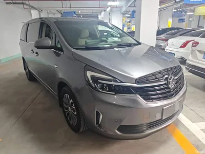 2021 Buick GL8 Land Business Class 652T Premium, фото 4, лот 10389467