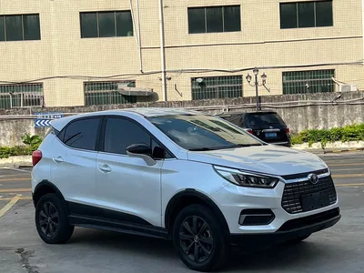 2019 BYD Yuan New Energy EV535 Smart Connected Trend Leader Type, фото 3, лот 10273487