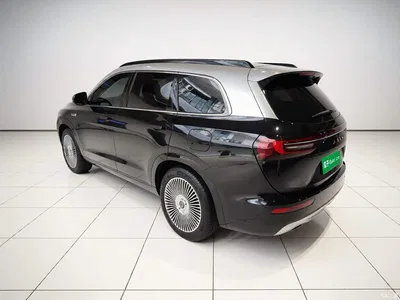 2024 AITO Wenjie AITO M7 1.5T Smart AWD Max 6-Seater, фото 4, лот 10277474