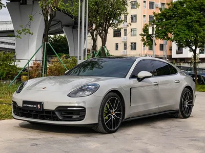 2023 Porsche Panamera Executive Long Wheelbase Platinum Edition 2.9T, фото 1, лот 11569952