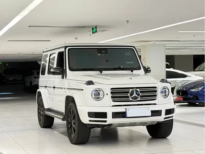 2021 Mercedes-Benz G-Class G 500, фото 3, лот 10383164