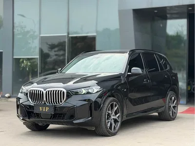 2023 BMW X5 xDrive 30Li Premium M Sport Black Night Package, фото 1, лот 11007659