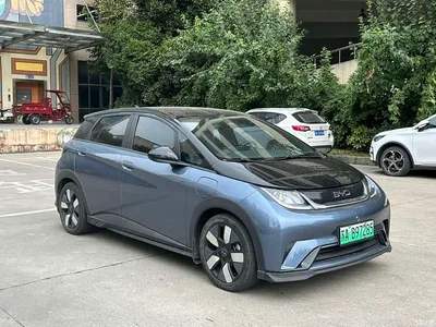 2023 BYD Dolphin 401km Knight Edition, фото 2, лот 10611694