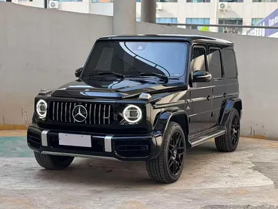 2019 Mercedes-Benz G-Class Facelift G 500, фото 1, лот 10298183