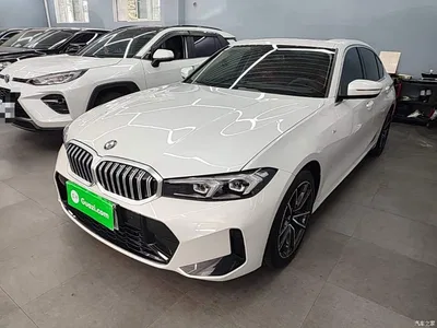 2024 BMW 3 Series 320Li M Sport Package, фото 1, лот 10765730