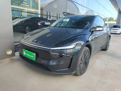 2025 Tesla Model Y Rear-Wheel Drive, фото 1, лот 10385284