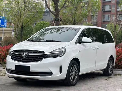 2021 Buick GL8 Land Business Class 652T Comfort, фото 3, лот 11205725
