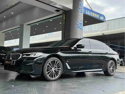 2023 BMW 5 Series 530Li Leading M Sport Package, фото 1, лот 11137469