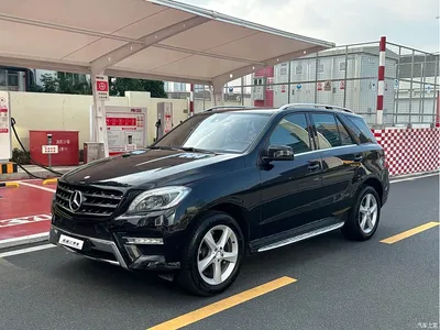 2014 Mercedes-Benz M-Class ML 320 4MATIC, фото 1, лот 10258367