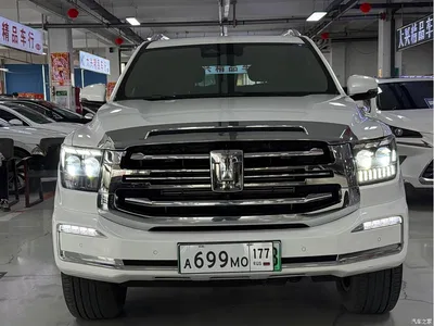 2023 Tank 500 EV Hi4-T, фото 2, лот 11450639