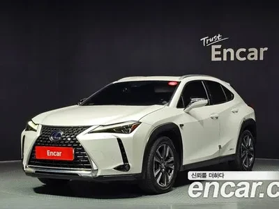 2019 Lexus UX 250h 2.0 AWD, фото 1, лот 10032959