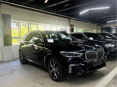 2022 BMW X5 Model xDrive 40Li M Sport Package, фото 3, лот 10463158