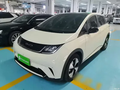 2023 BYD Dolphin 420km Fashion Edition, фото 1, лот 10259360