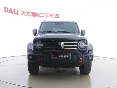 2024 Tank 300 New Energy Hi4-T, фото 2, лот 10344623