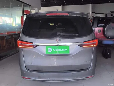 2023 Buick GL8 Facelift Land Business Class Luxury, фото 4, лот 10262337