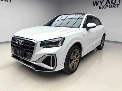 2022 Audi Q2L 35 TFSI Fashion Dynamic, фото 1, лот 10472163