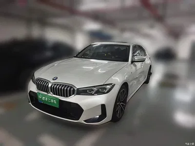 2023 BMW 3 Series 320Li M Sport Package, фото 1, лот 11097613