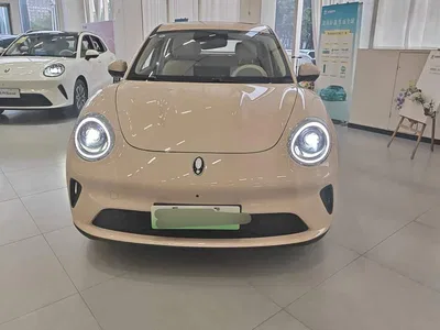 2026 Ora 5 1.5T Base Model, фото 2, лот 10625708