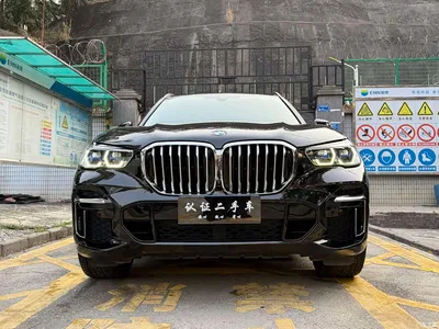 2023 BMW X5 xDrive 30Li Premium M Sport Package, фото 3, лот 10462878