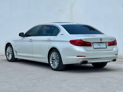 2019 BMW 5 Series New Energy 530Le Luxury Package, фото 4, лот 11449221